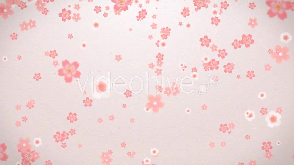 Sakura Videohive 16082326 Motion Graphics Image 8