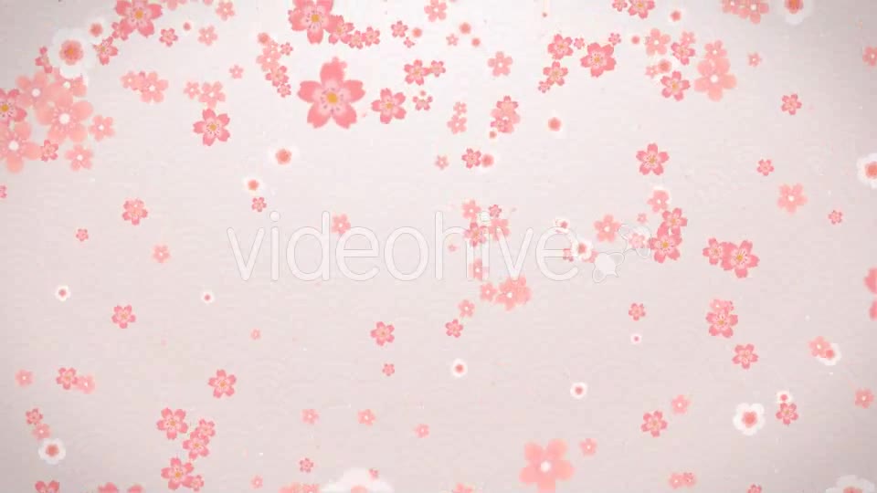 Sakura Videohive 16082326 Motion Graphics Image 9