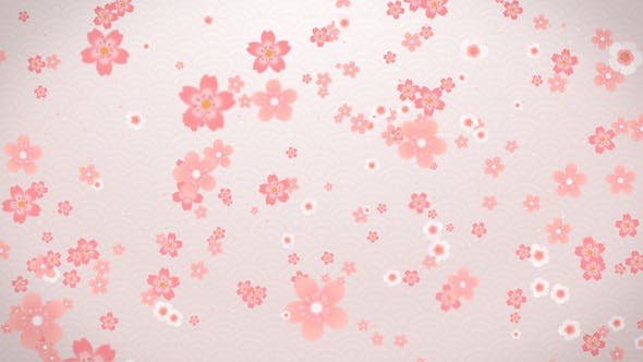Sakura - Download Videohive 16082326