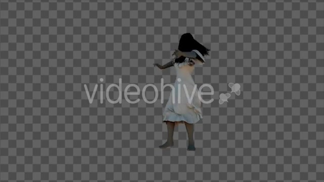Scary Ghost Dance Videohive 20693780 Motion Graphics Image 3