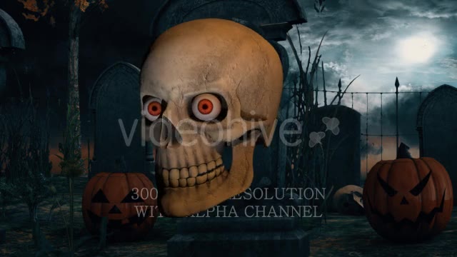Scary Skull Transition Videohive 18187993 Motion Graphics Image 12