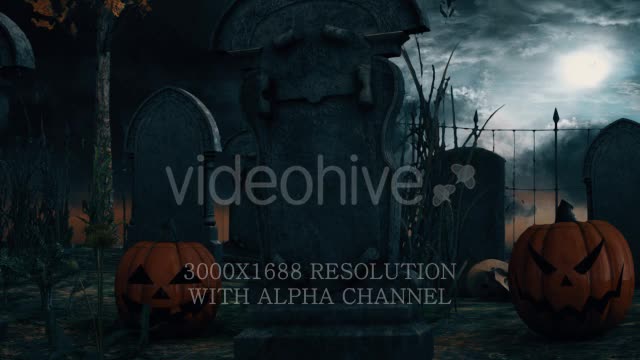 Scary Skull Transition Videohive 18187993 Motion Graphics Image 13