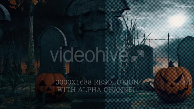 Scary Skull Transition Videohive 18187993 Motion Graphics Image 8