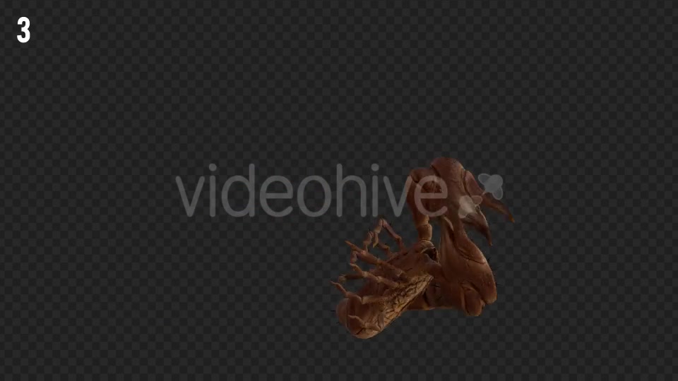 Scorpion 2 Realistic Pack 6 Videohive 21203375 Motion Graphics Image 6