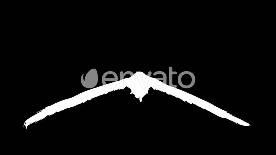 Seagull Flight Loop Videohive 22651388 Motion Graphics Image 10