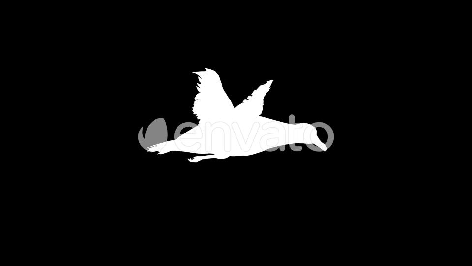 Seagull Flight Loop Videohive 22651388 Motion Graphics Image 8