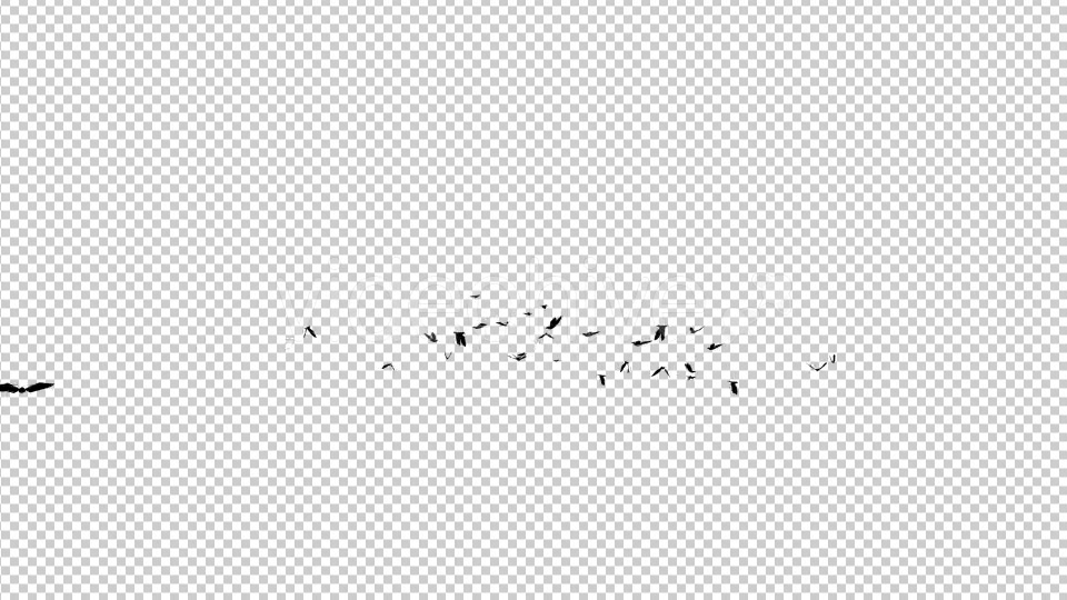 Seagulls Silhouette Videohive 19423378 Motion Graphics Image 4