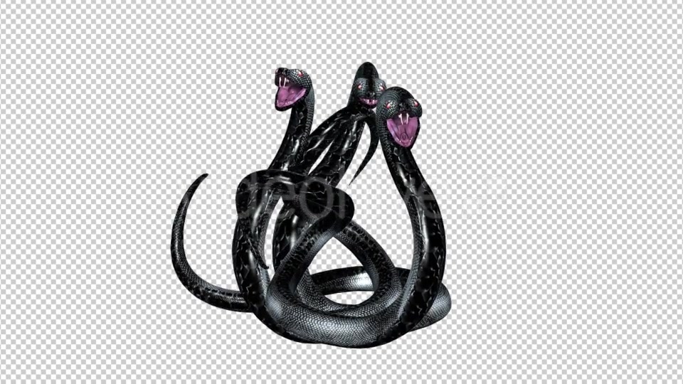 Serpent Tangle Three Black Snakes Videohive 12244348 Motion Graphics Image 5