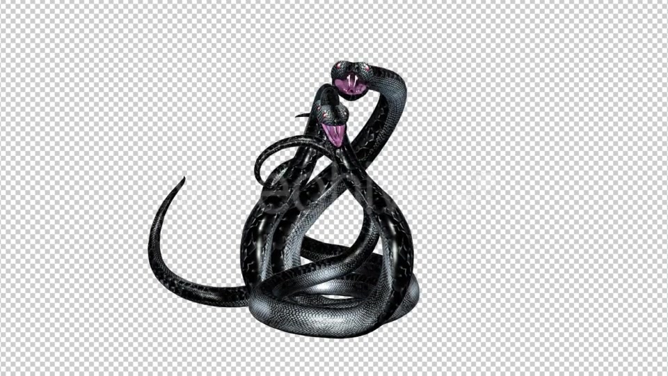 Serpent Tangle Three Black Snakes Videohive 12244348 Motion Graphics Image 6