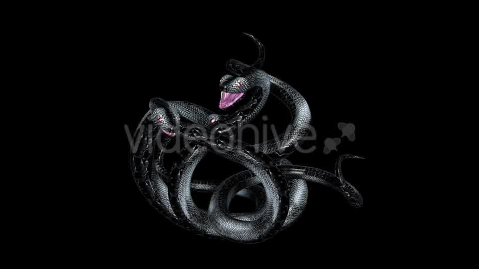 Serpent Tangle Three Black Snakes Videohive 12244348 Motion Graphics Image 9