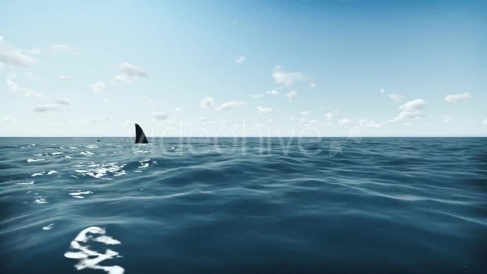 Shark and Ocean Videohive 20004782 Motion Graphics Image 1