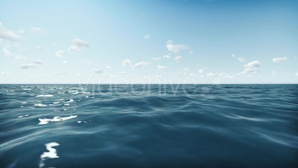 Shark and Ocean Videohive 20004782 Motion Graphics Image 6