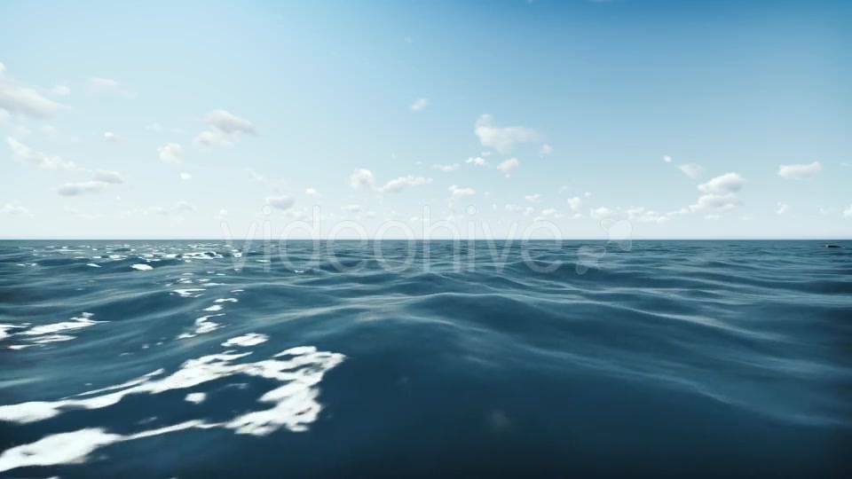 Shark and Ocean Videohive 20004782 Motion Graphics Image 7