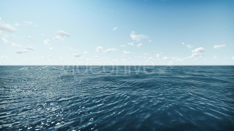 Shark and Ocean Videohive 20004782 Motion Graphics Image 8