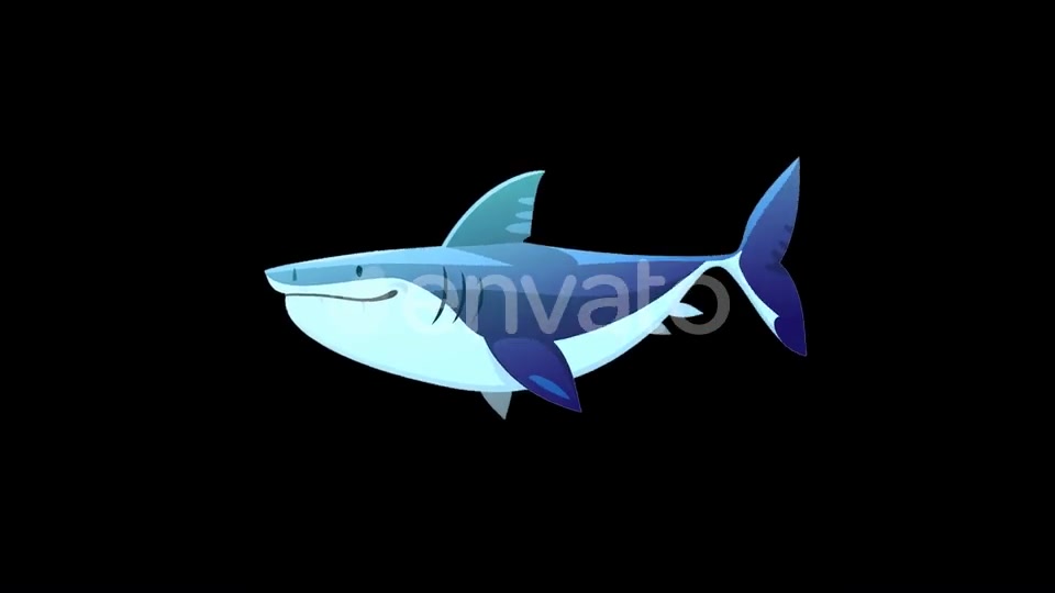 Shark Swim Videohive 23240218 Motion Graphics Image 4