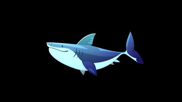 Shark Swim - Download 23240218 Videohive