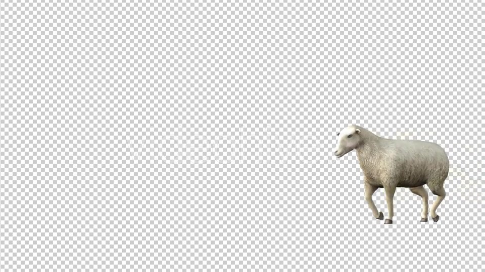 Sheep Walk Videohive 19613675 Motion Graphics Image 4