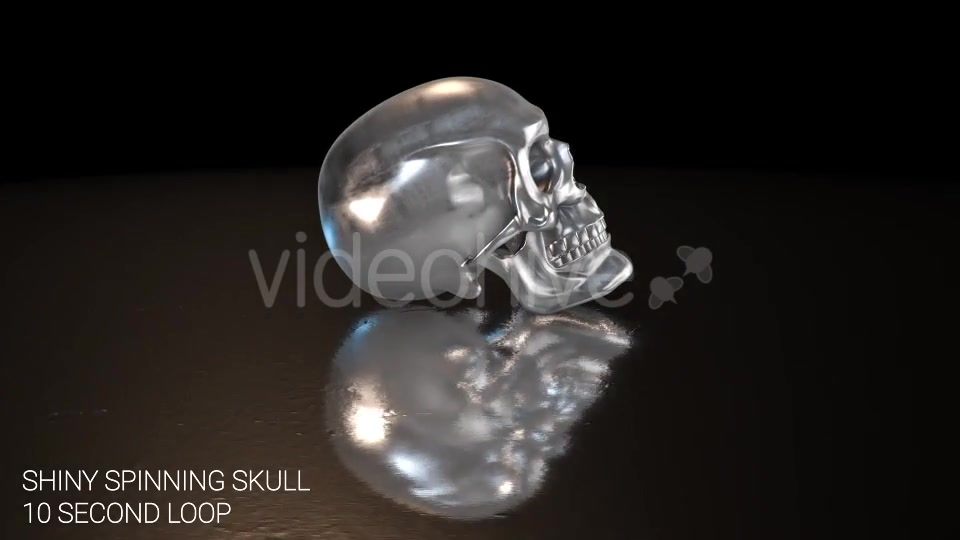 Shiny Skull on Reflective Surface Videohive 14828423 Motion Graphics Image 3