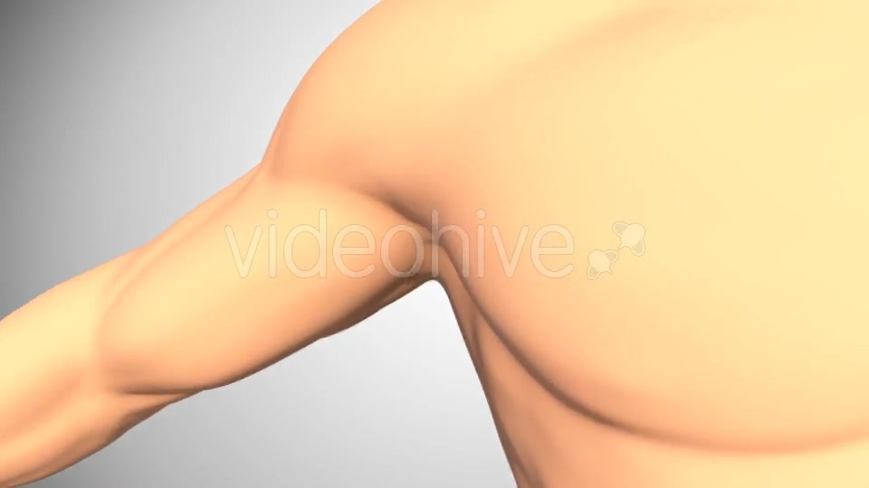 Shoulder Dislocation Videohive 16088265 Motion Graphics Image 2