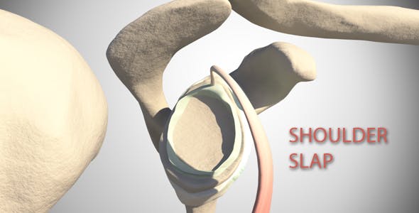 Shoulder Slap - Download 16088766 Videohive