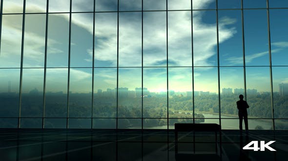 Silhouette Of A Businessman Against The Huge Office Window - Videohive Download 20833488