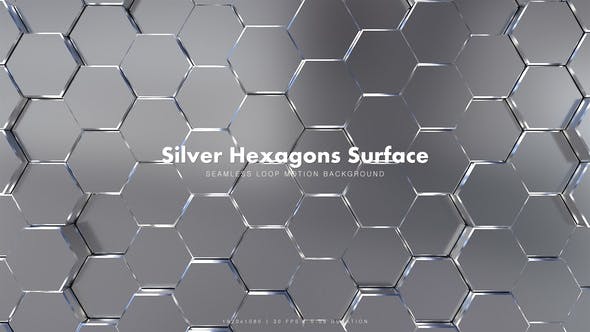 Silver Hexagons Surface - 20967990 Videohive Download