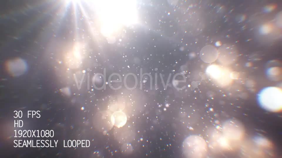 Silver Particles 1 Videohive 21020260 Motion Graphics Image 1