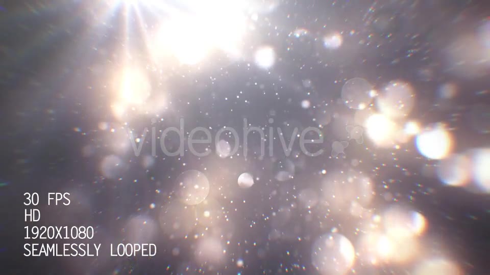 Silver Particles 1 Videohive 21020260 Motion Graphics Image 2