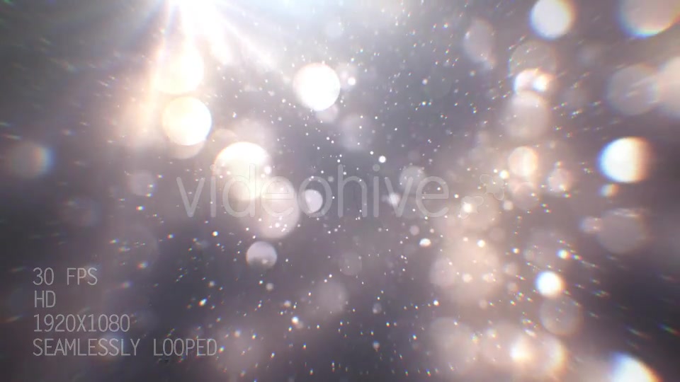 Silver Particles 1 Videohive 21020260 Motion Graphics Image 4