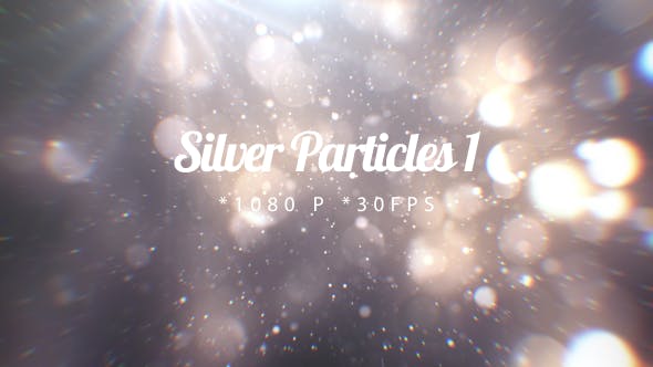 Silver Particles 1 - Download Videohive 21020260