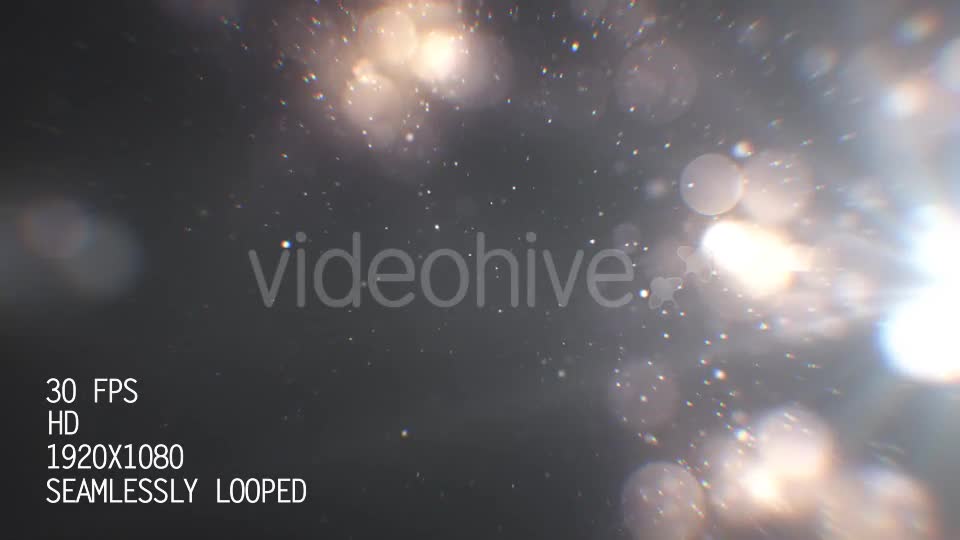 Silver Particles 2 Videohive 21020276 Motion Graphics Image 1