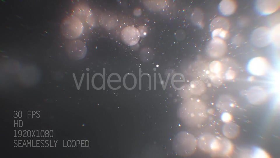 Silver Particles 2 Videohive 21020276 Motion Graphics Image 4