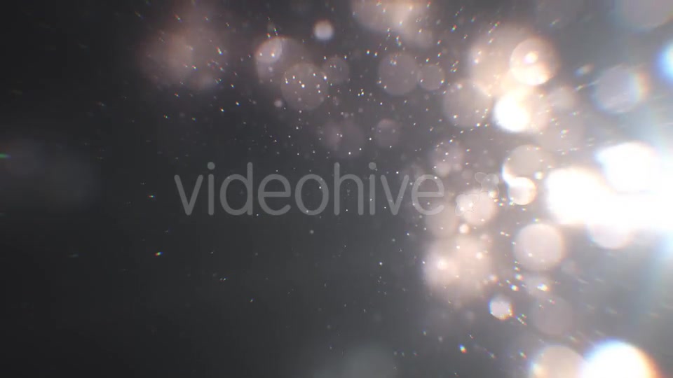 Silver Particles 2 Videohive 21020276 Motion Graphics Image 5