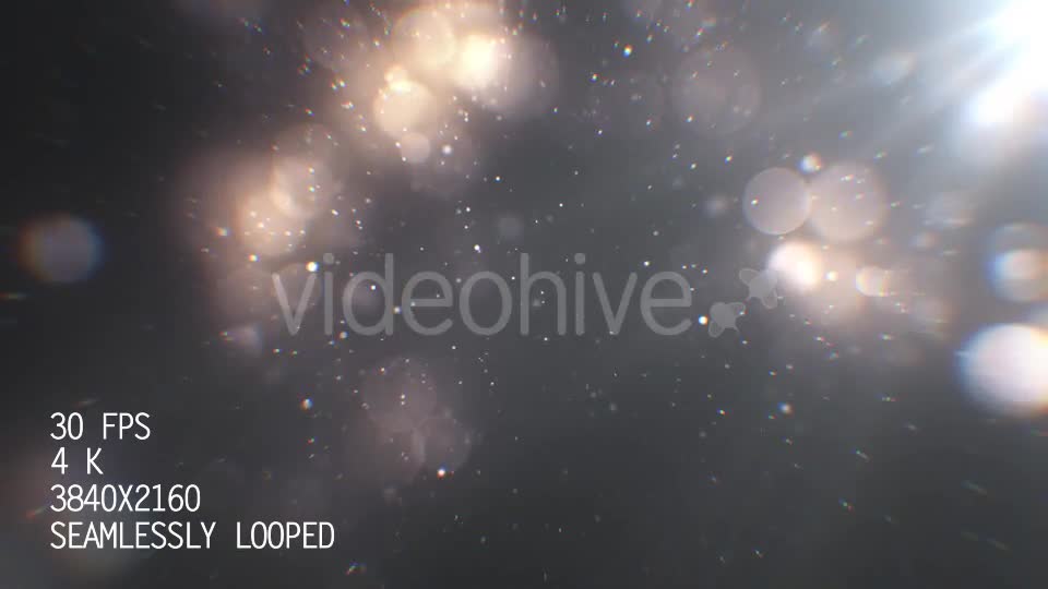 Silver Particles 4 Videohive 21086698 Motion Graphics Image 1