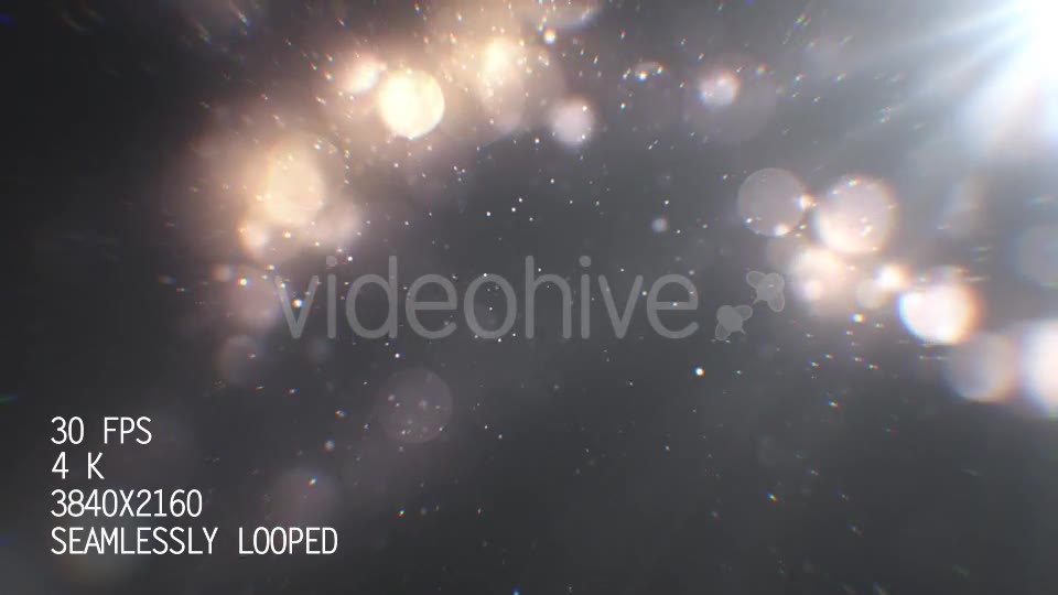 Silver Particles 4 Videohive 21086698 Motion Graphics Image 2