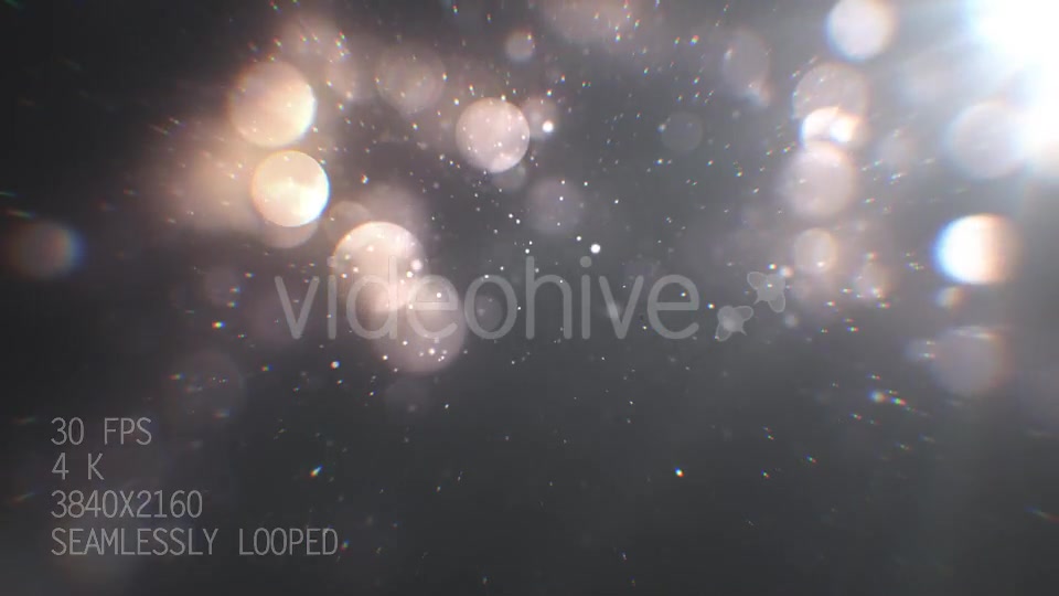 Silver Particles 4 Videohive 21086698 Motion Graphics Image 4