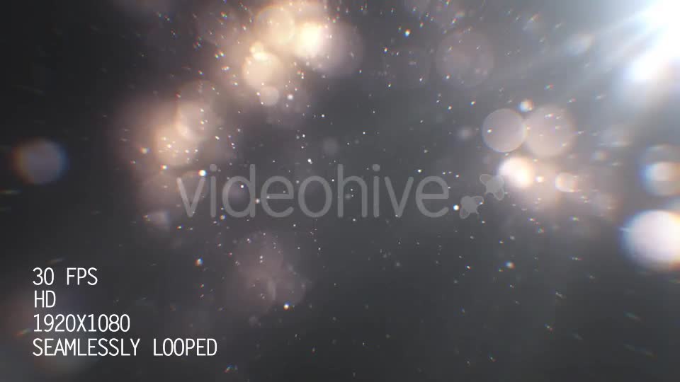 Silver Particles 4 Videohive 21020273 Motion Graphics Image 1