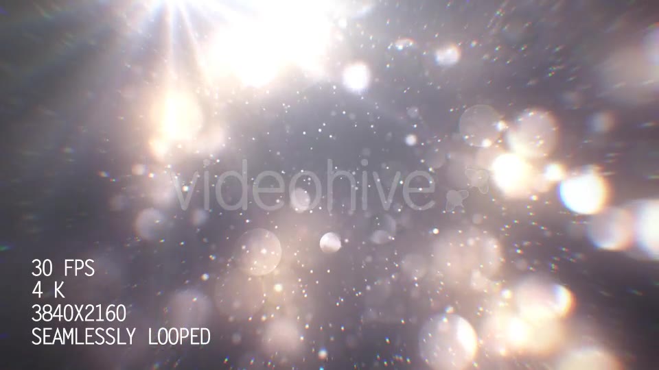 Silver Particles Videohive 21013777 Motion Graphics Image 2
