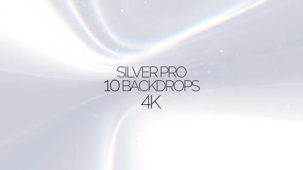 Silver Pro V.1 - 19253726 Download Videohive