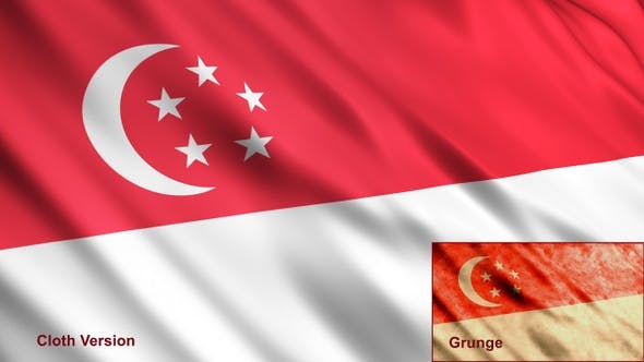 Singapore Flags - Download Videohive 23701330