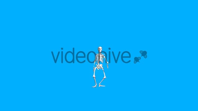 Skeleton Animations Pack Videohive 18155339 Motion Graphics Image 1