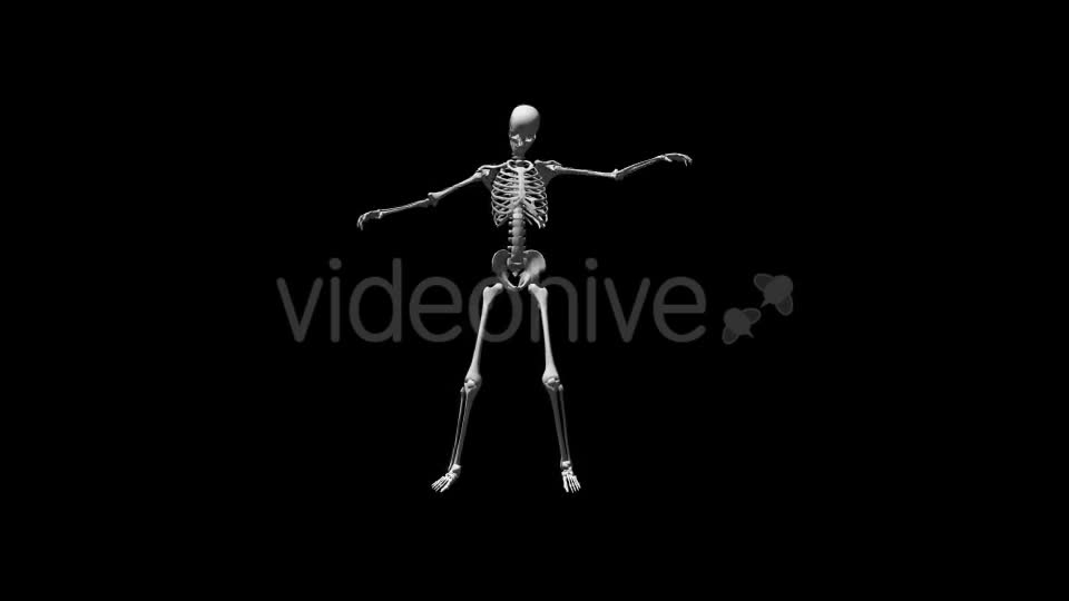 Skeleton Break Dance Videohive 17569803 Motion Graphics Image 1