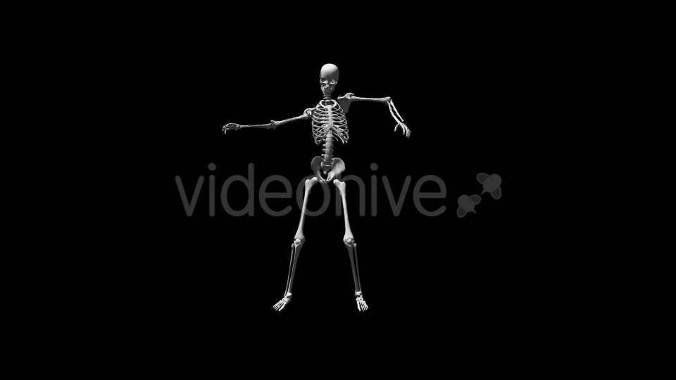 Skeleton Break Dance Videohive 17569803 Motion Graphics Image 2