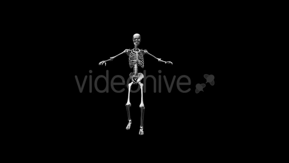 Skeleton Break Dance Videohive 17569803 Motion Graphics Image 3