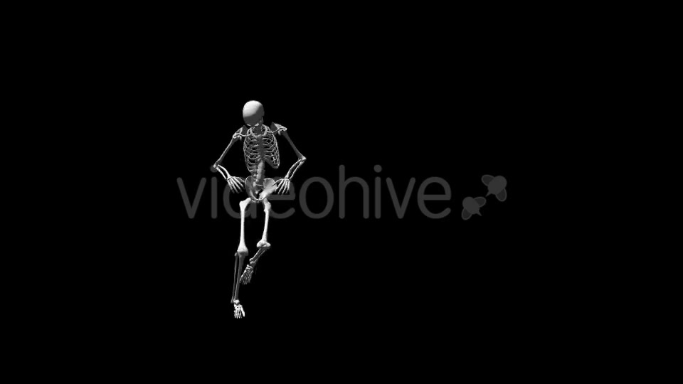 Skeleton Break Dance Videohive 17569803 Motion Graphics Image 4