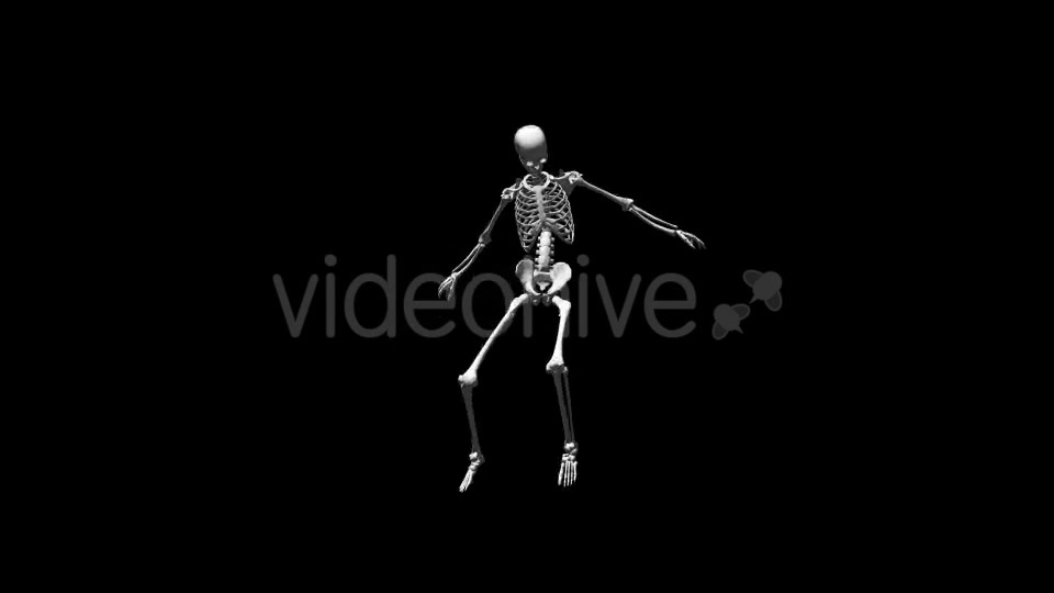 Skeleton Break Dance Videohive 17569803 Motion Graphics Image 5