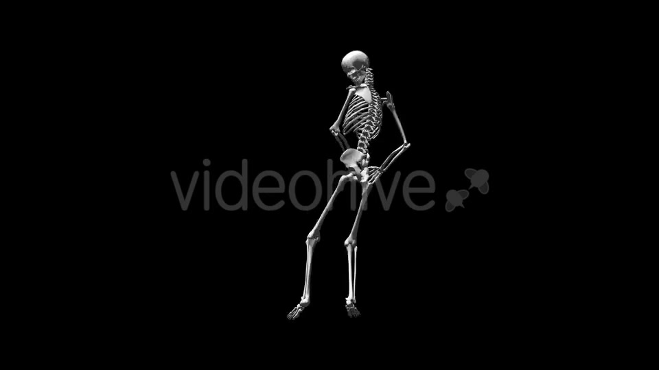 Skeleton Break Dance Videohive 17569803 Motion Graphics Image 6