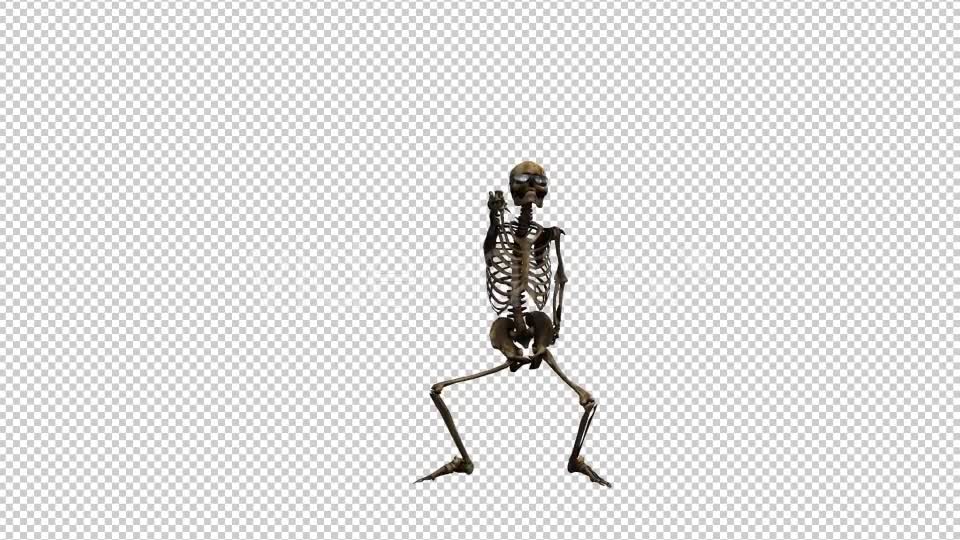 Skeleton Dance 2 Videohive 20659519 Motion Graphics Image 1