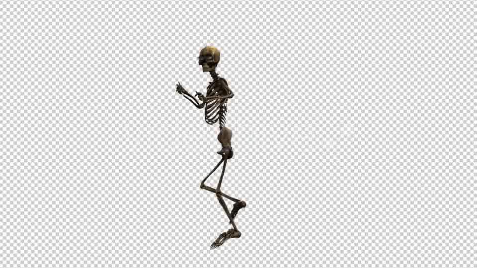 Skeleton Dance 2 Videohive 20659519 Motion Graphics Image 10