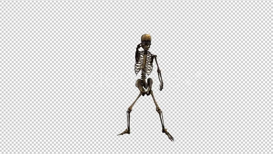 Skeleton Dance 2 Videohive 20659519 Motion Graphics Image 2